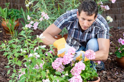 Operative inspecting hedge trimmer and PPE