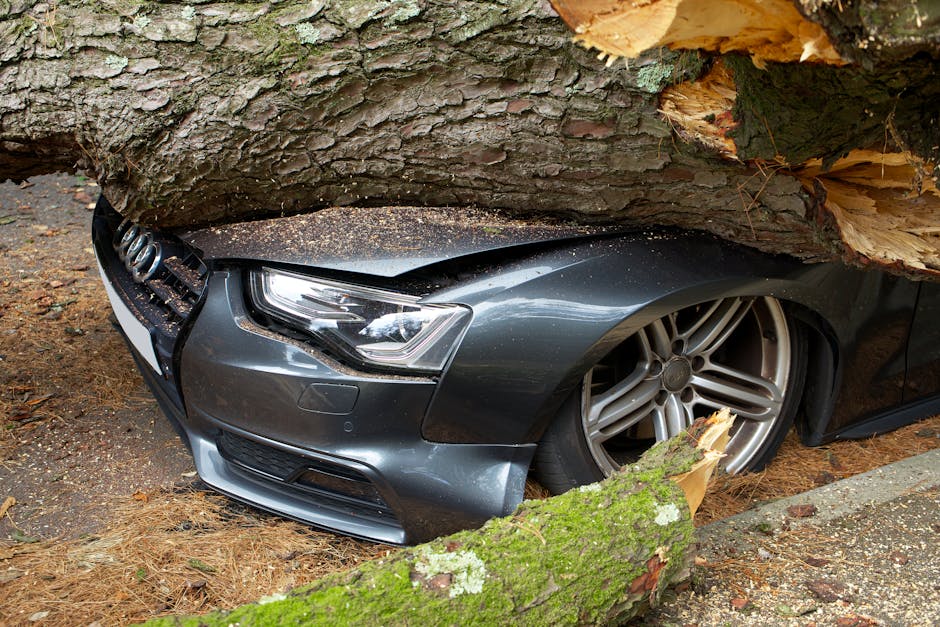 A grey Audi car severely impacted by a fallen tree, with its front bumper and headlight partially obscured by the large, thick tree trunk resting across the vehicle. The tree's bark is rough and textu