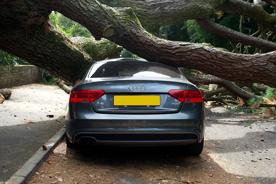 A grey Audi car severely impacted by a fallen tree, with its front bumper and headlight partially obscured by the large, thick tree trunk resting across the vehicle. The tree's bark is rough and textu